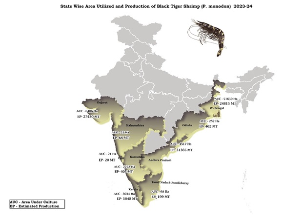 state_wise_area_utilization_P_monodon_production