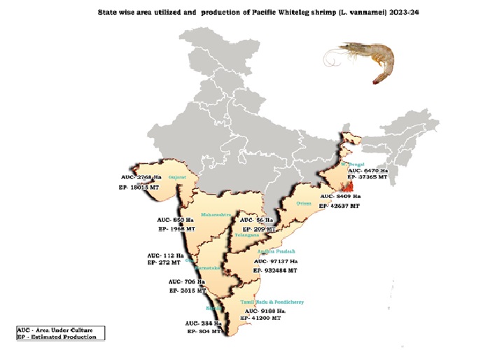state_wise_area_utilization_shrimp